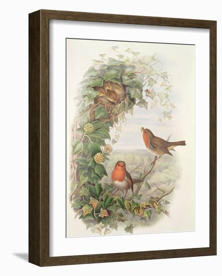 Robin, 1873-John Gould-Framed Giclee Print