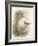 Robin, 1873-John Gould-Framed Giclee Print