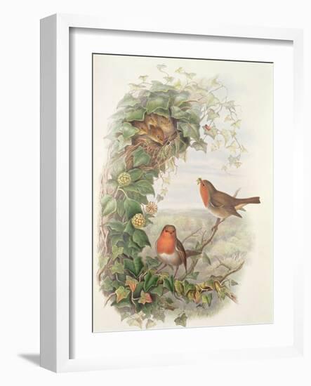 Robin, 1873-John Gould-Framed Giclee Print