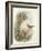 Robin, 1873-John Gould-Framed Giclee Print