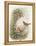 Robin, 1873-John Gould-Framed Premier Image Canvas