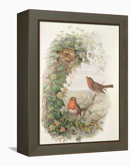 Robin, 1873-John Gould-Framed Premier Image Canvas