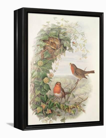 Robin, 1873-John Gould-Framed Premier Image Canvas