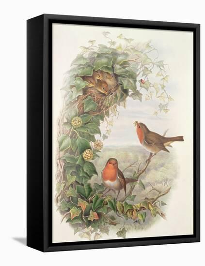 Robin, 1873-John Gould-Framed Premier Image Canvas