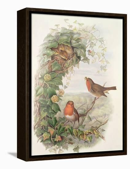 Robin, 1873-John Gould-Framed Premier Image Canvas