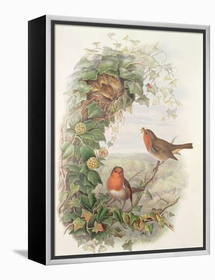 Robin, 1873-John Gould-Framed Premier Image Canvas