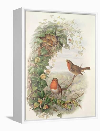 Robin, 1873-John Gould-Framed Premier Image Canvas