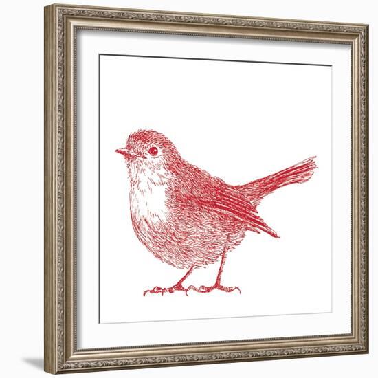 Robin  2017  (digital)-Sarah Hough-Framed Giclee Print