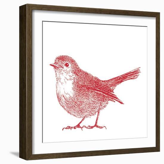 Robin  2017  (digital)-Sarah Hough-Framed Giclee Print