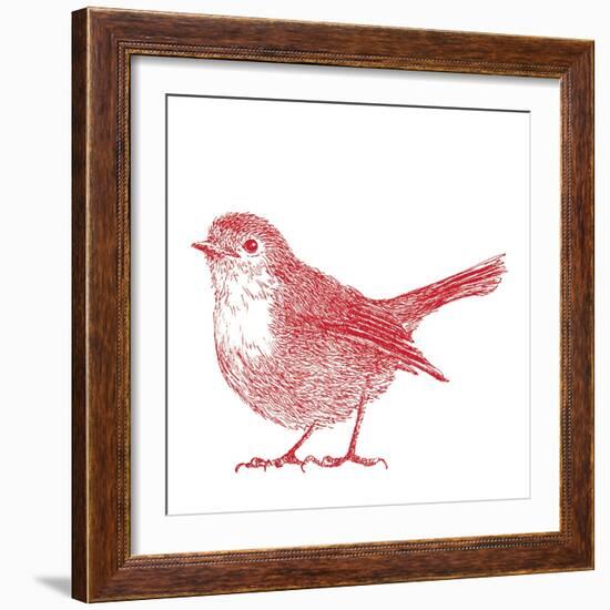 Robin  2017  (digital)-Sarah Hough-Framed Giclee Print