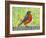 Robin Bird Watercolor-null-Framed Art Print