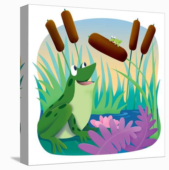 Stretched Canvas Print, , large