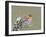 Robin (Erithacus Rubecula), Lake District, Cumbria, England, United Kingdom, Europe-David and Louis Gibbon-Framed Photographic Print