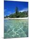 Photographic Print