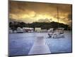 Photographic Print