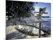 Premium Photographic Print