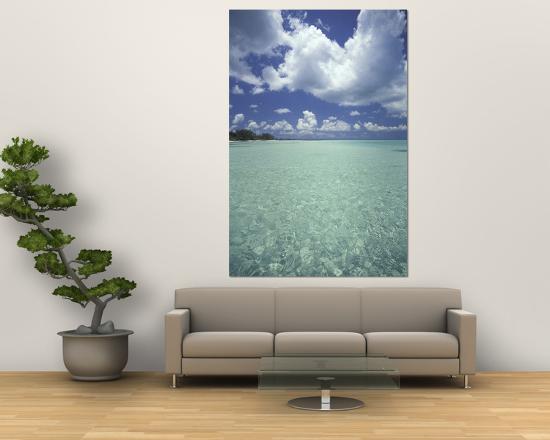 Giant Art Print, , large
