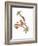 Robin Holly Day-Deborah Kopka-Framed Giclee Print