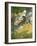 Robin Hood and His Companions Rescue Will Stutely-Newell Convers Wyeth-Framed Giclee Print