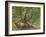 Robin Hood and His Merry Men in Sherwood Forest, 1859-Edmund Warren George-Framed Giclee Print