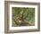 Robin Hood and His Merry Men in Sherwood Forest, 1859-Edmund Warren George-Framed Giclee Print