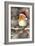 Robin in Falling Snow Wearing Christmas Hat-null-Framed Photographic Print