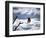 Robin in Snow, 1979-null-Framed Photographic Print