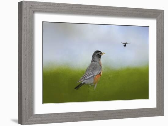 Robin in the Field-Jai Johnson-Framed Giclee Print