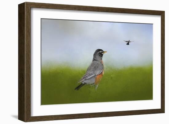 Robin in the Field-Jai Johnson-Framed Giclee Print