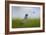 Robin in the Field-Jai Johnson-Framed Giclee Print