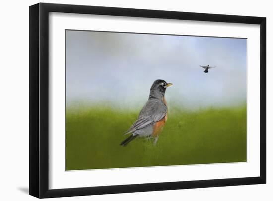 Robin in the Field-Jai Johnson-Framed Giclee Print