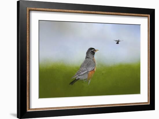 Robin in the Field-Jai Johnson-Framed Giclee Print