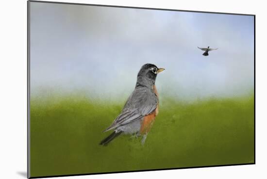 Robin in the Field-Jai Johnson-Mounted Giclee Print