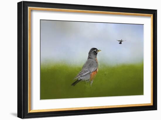 Robin in the Field-Jai Johnson-Framed Giclee Print