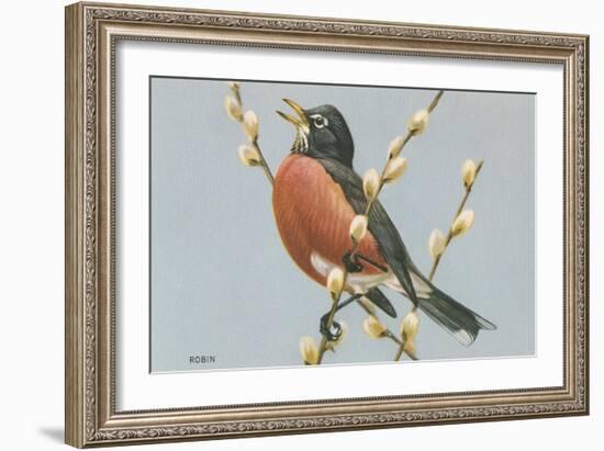 Robin on Pussy Willows-null-Framed Art Print