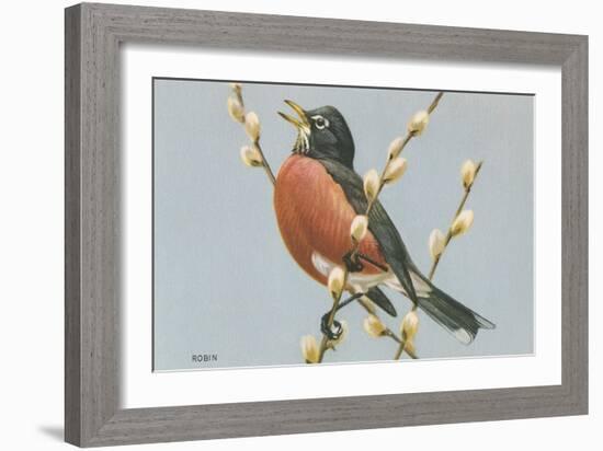 Robin on Pussy Willows-null-Framed Art Print