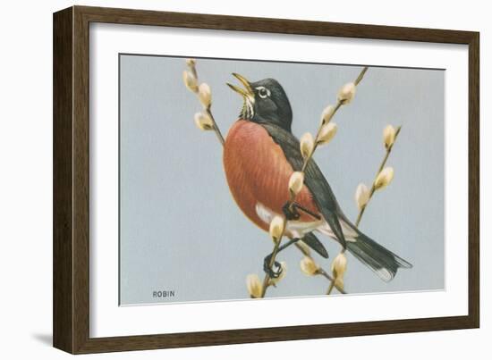 Robin on Pussy Willows-null-Framed Art Print