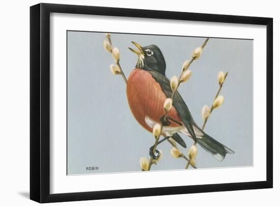 Robin on Pussy Willows-null-Framed Art Print