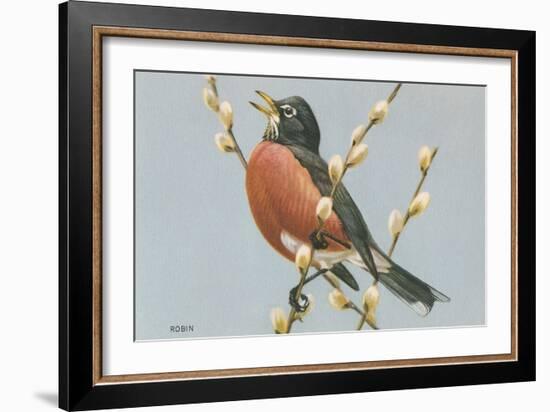 Robin on Pussy Willows-null-Framed Art Print