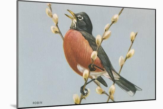 Robin on Pussy Willows-null-Mounted Art Print