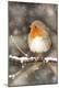 Photographic Print
