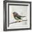 Robin on Wire-Angela Moulton-Framed Art Print