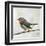 Robin on Wire-Angela Moulton-Framed Art Print