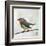 Robin on Wire-Angela Moulton-Framed Art Print