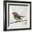 Robin on Wire-Angela Moulton-Framed Art Print