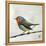 Robin on Wire-Angela Moulton-Framed Stretched Canvas