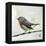 Robin on Wire-Angela Moulton-Framed Stretched Canvas