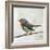 Robin on Wire-Angela Moulton-Framed Art Print