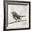 Robin on Wire-Angela Moulton-Framed Art Print