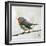 Robin on Wire-Angela Moulton-Framed Art Print